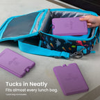 Bentgo Chillers Reusable Ice Packs (4-Pack)